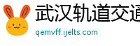 武汉轨道交通建设集团有限公司